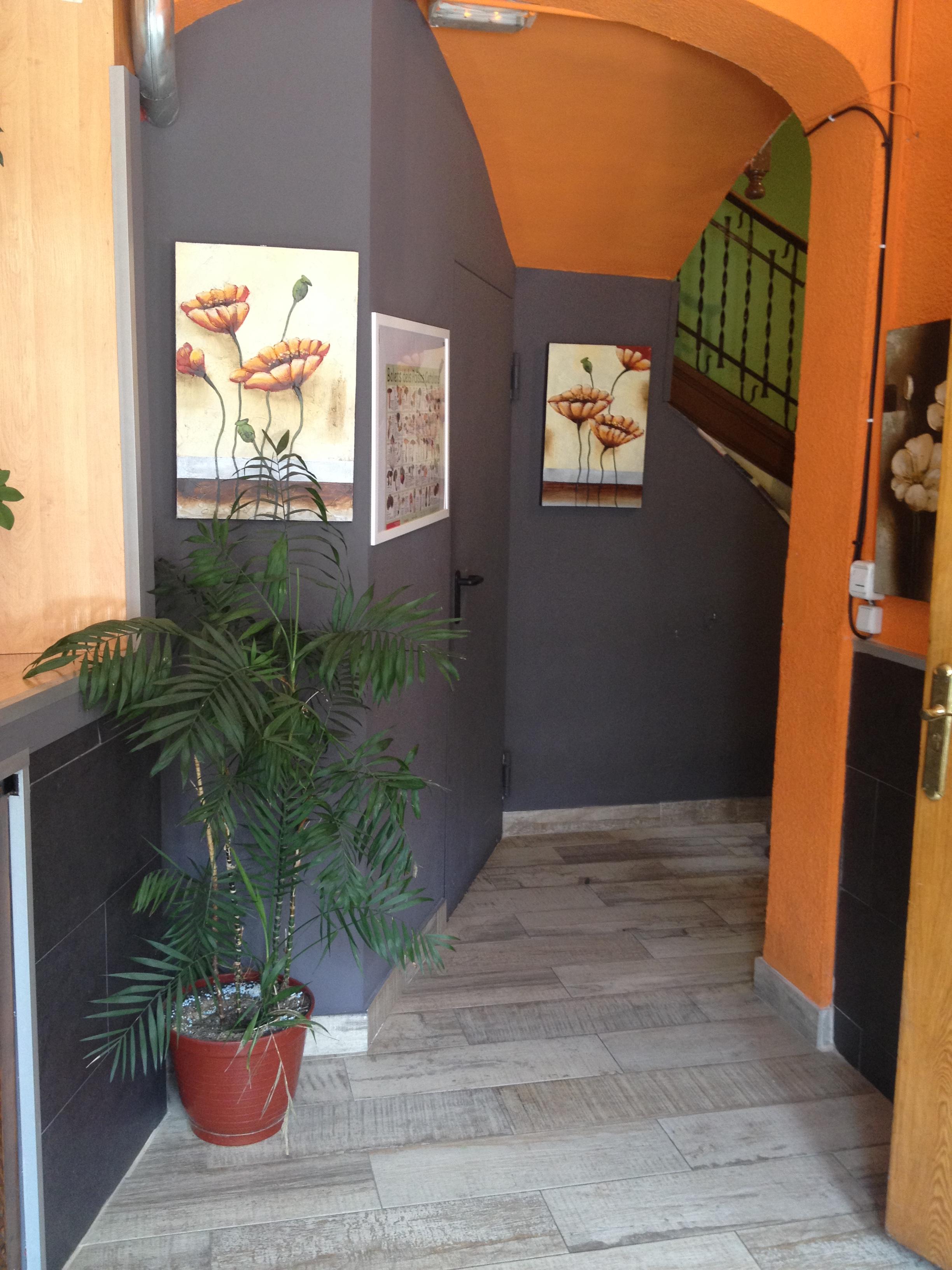 Hostal Porta De Nuria Рибес-де-Фресер Екстер'єр фото